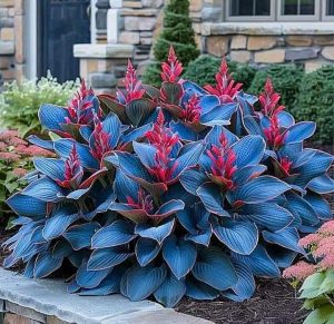 Хоста Грин Фог купить по цене от 669р. в интернет-магазине «Посадика» с доставкой почтой в в Рыльске и по всей России – [изображение №1].