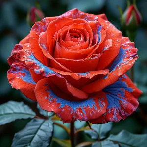 Роза Сикрет Гарден купить по цене от 619р. в интернет-магазине «Посадика» с доставкой почтой в в Рыльске и по всей России – [изображение №1].